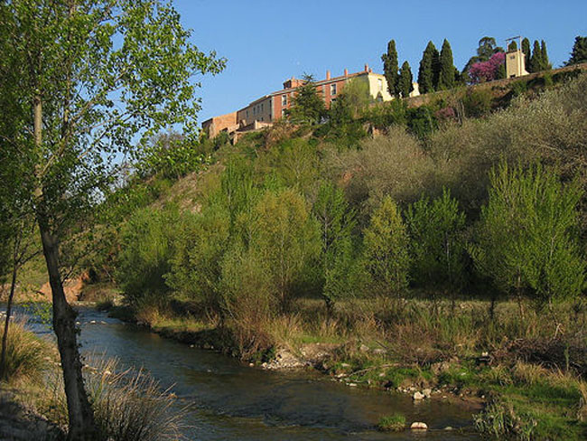 vico03