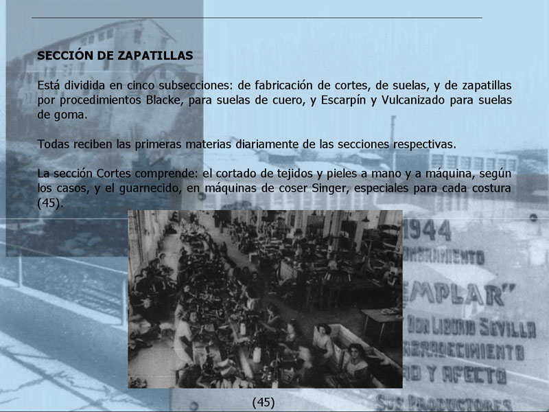 sevillas019