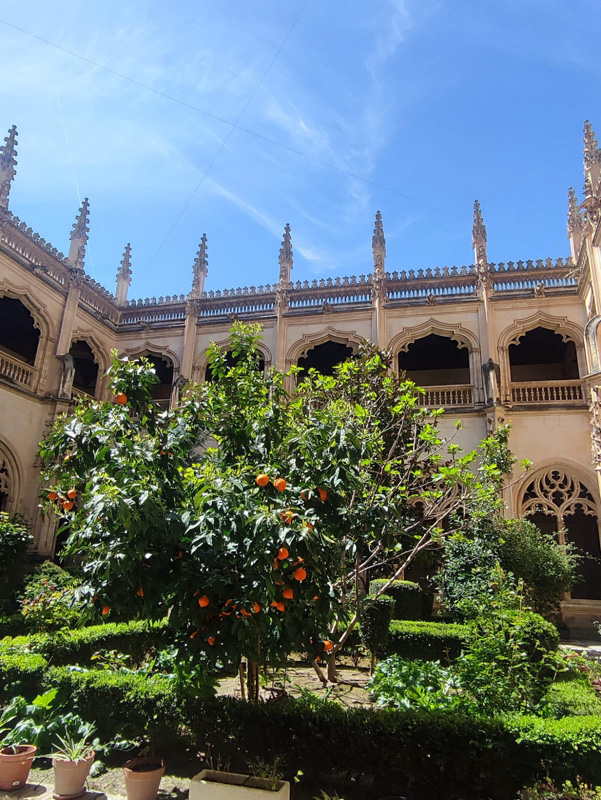 almagro_a (3)
